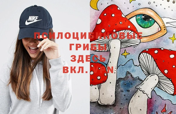 метамфетамин Гусев