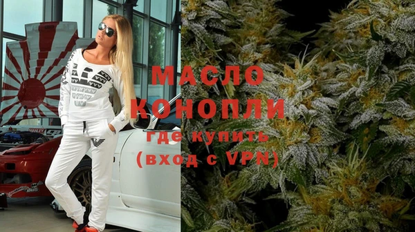 индика Горнозаводск