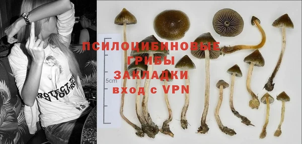 метамфетамин Гусев