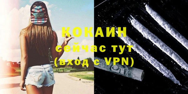 индика Горнозаводск