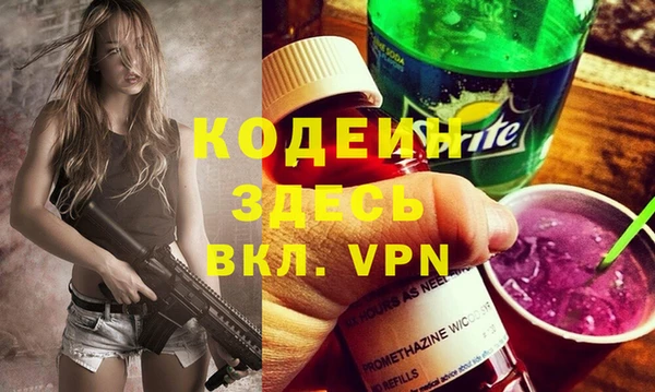 индика Горнозаводск