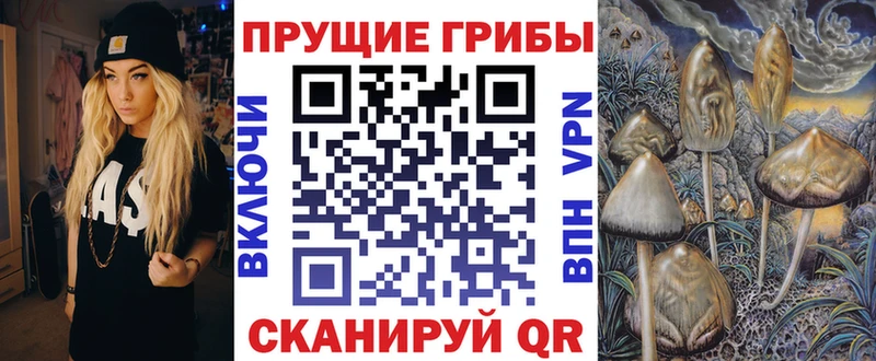 Купить закладки Венёв Псилоцибиновые грибы MAGIC MUSHROOMS